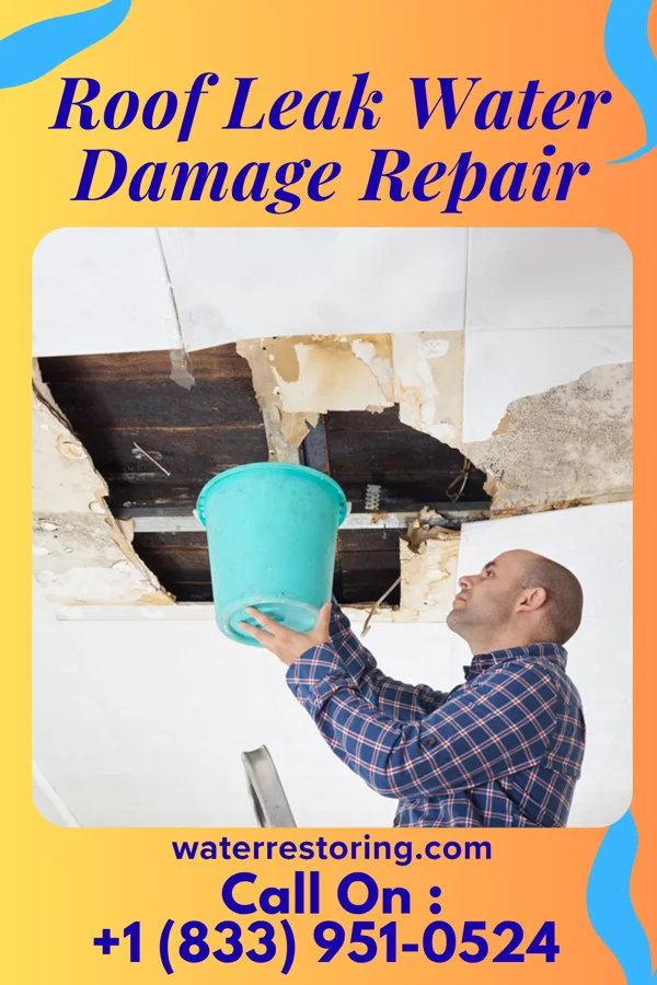 Roof Leak Water Damage Repair in Lindale, TX